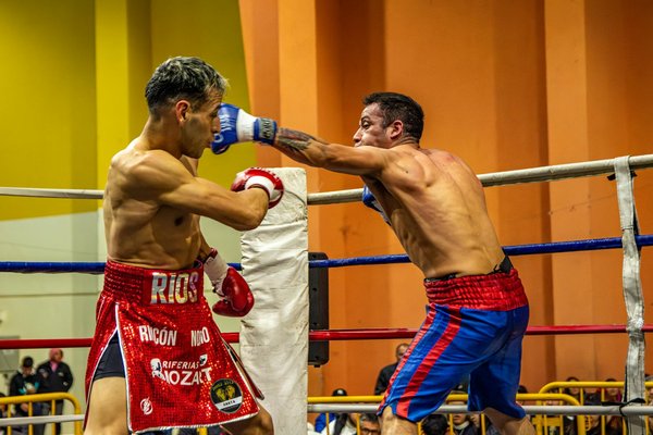 Résultats Du Loto De Mercredi Soir